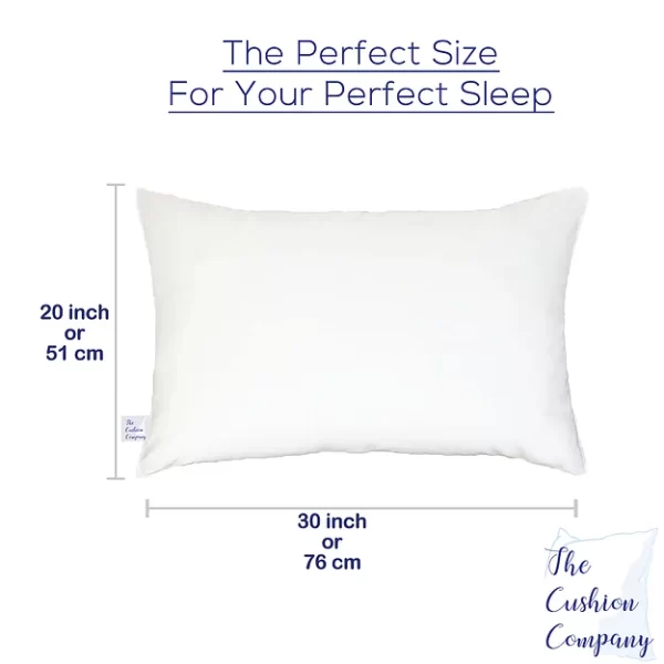 the Cushion company 20x30 pillow size